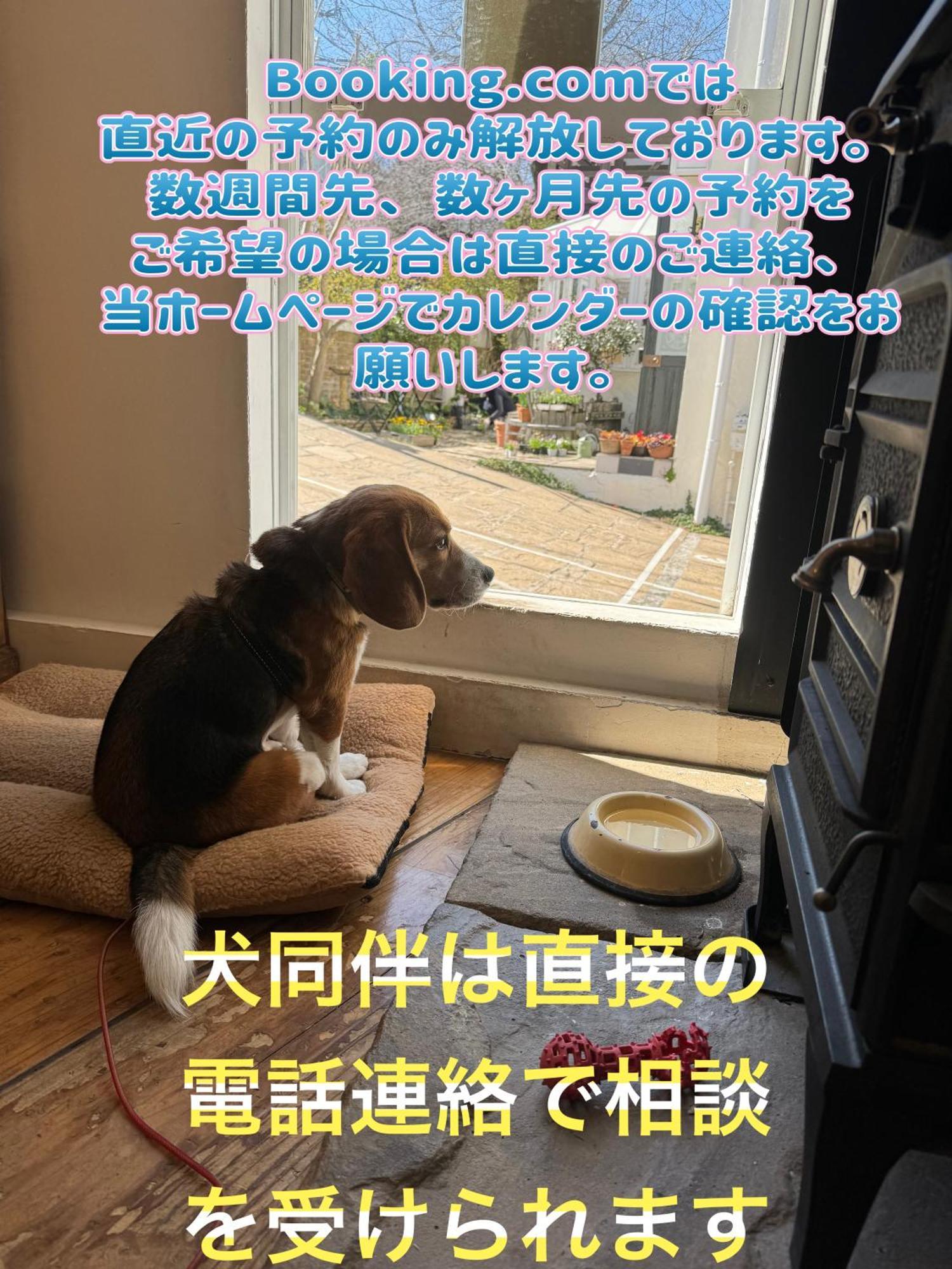 Kamakurayama Holiday Flat Exterior foto